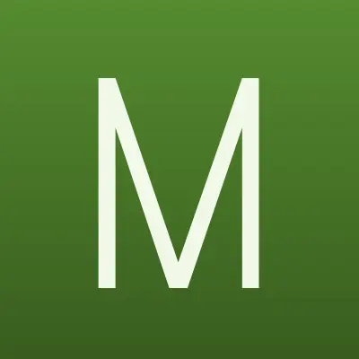 Магазин игрушек, ИП Фалина И.А., лого-визитка