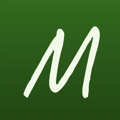 Мегафон, терминал, лого-визитка