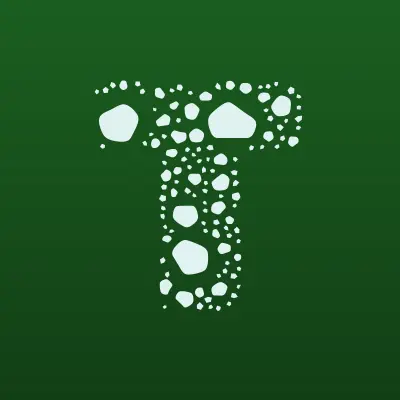 Torex, магазин стальных дверей, лого-визитка